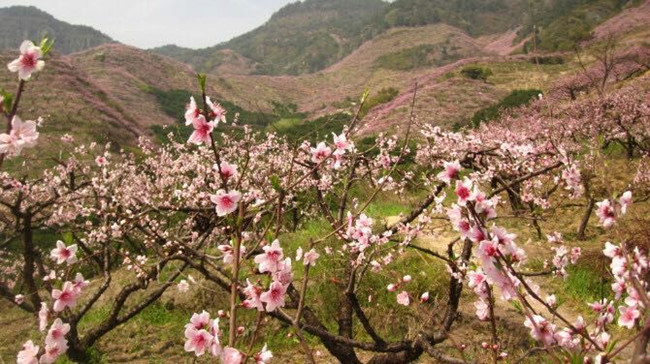 زԱ