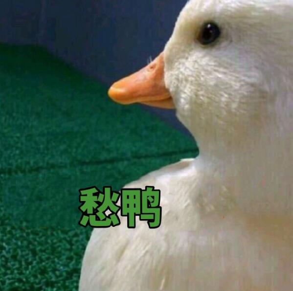 꿪һڣΪʲôûһԭ