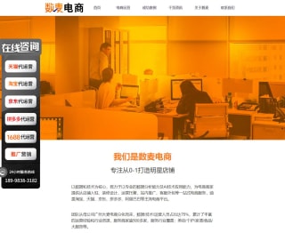 数麦电商网站界面 数麦电商网站界面
