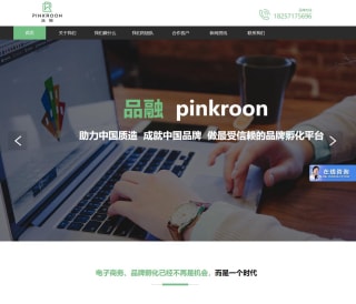 品融电商网站界面 品融电商网站界面