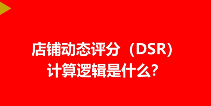 Ա̶̬֣DSR߼ʲô