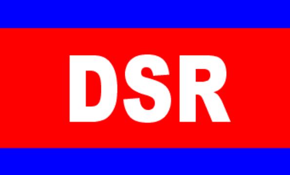 ƴֶһάȥ̼ңDSR