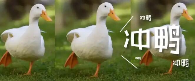 èۼͶֱӹص