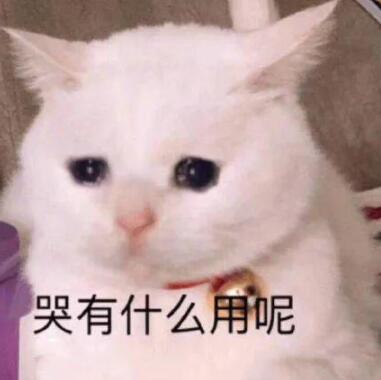 ͷĹ΢ͷ½