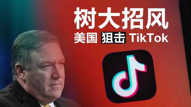 ֹTikTokҪĿʲô