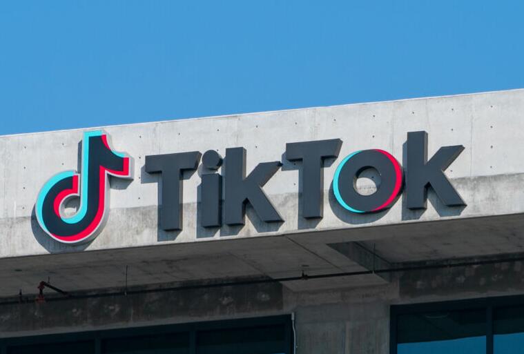 TikTokƵҪʽ